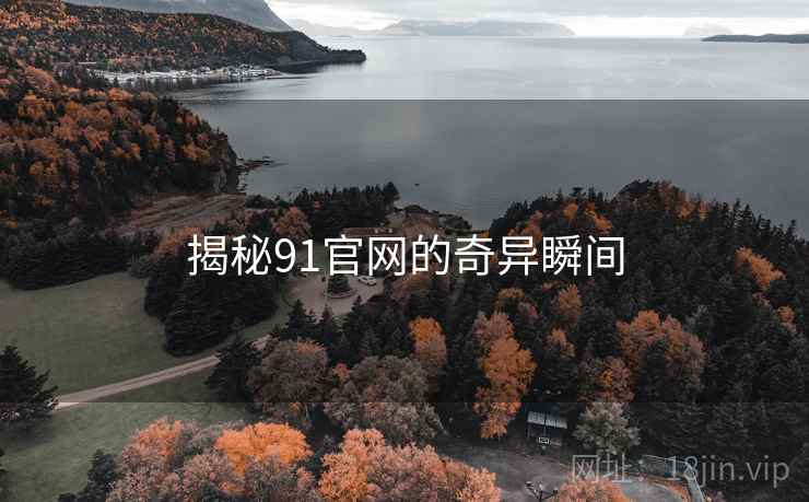 揭秘91官网的奇异瞬间